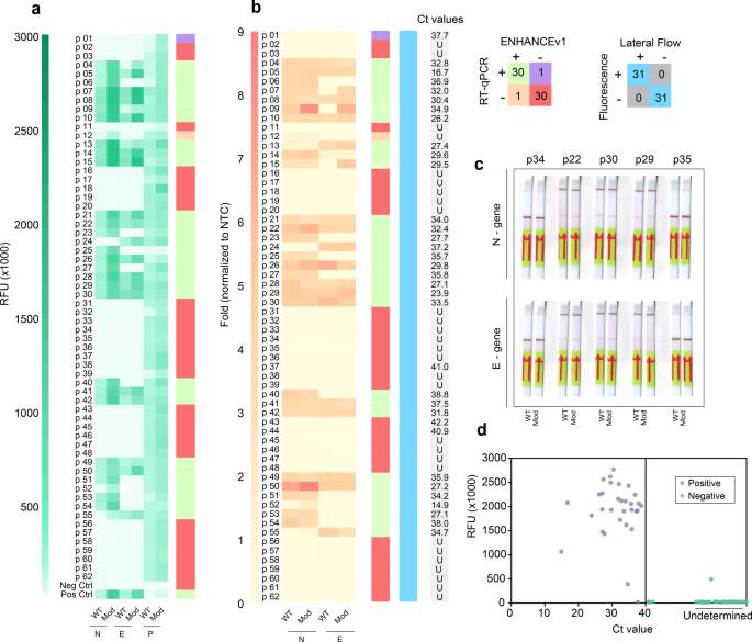 Fig. 3: Clinical validation of ENHANCE.