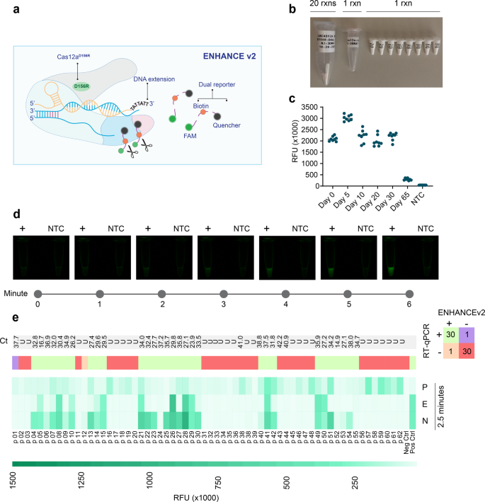Fig. 4: Clinical validation of ENHANCEv2.