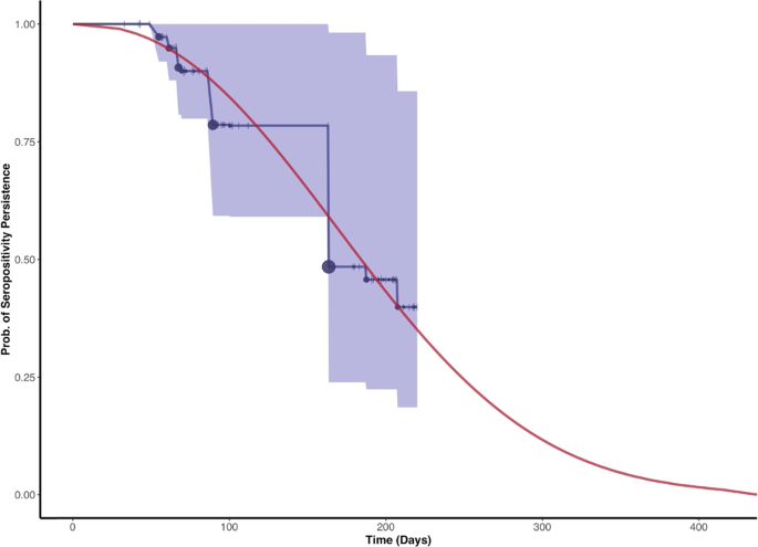 Fig. 5: Seroreversion data and model fit.