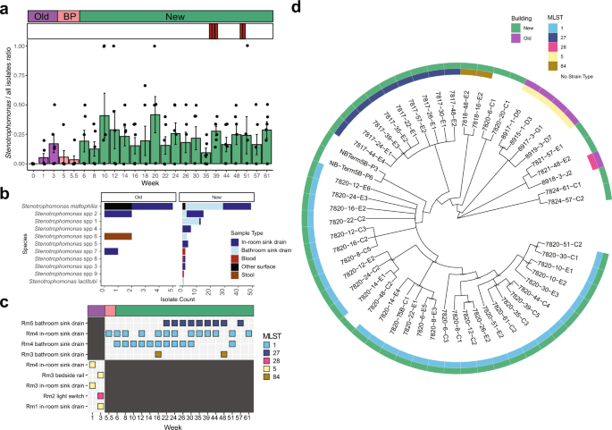 Antibiotic-resistant organisms establish reservoirs in new hospital built environments and are related to patient blood infection isolates | Communications Medicine antibiotic-resistant-organisms-establish-reservoirs-in-new-hospital-built-environments-and-are-related-to-patient-blood-infection-isolates-communications-medicine