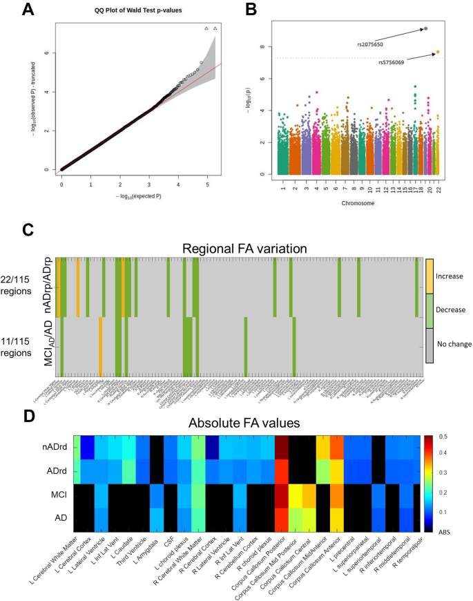 Fig. 4: Genetic and molecular characteristics associated with the ApV biomarker.