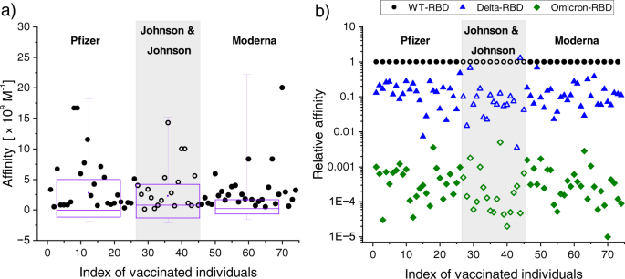 Fig. 2: Anti–SARS-CoV-2 WT-RBD affinities and relative affinities toward variants.
