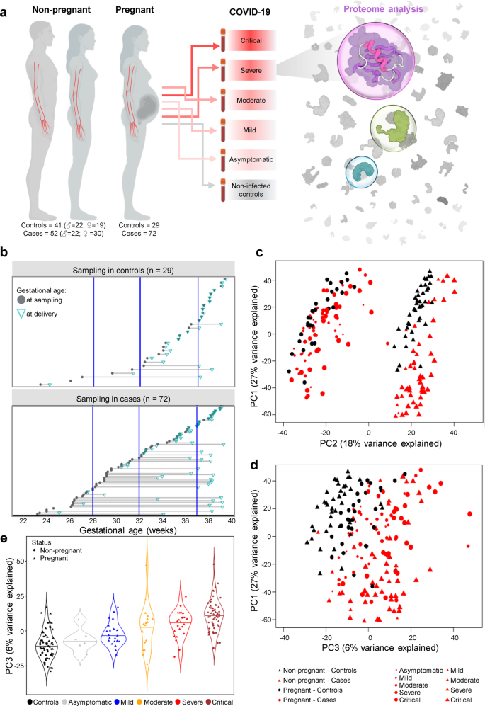 Fig. 1: The plasma proteome of COVID-19 patients differs according to disease severity and pregnancy status.