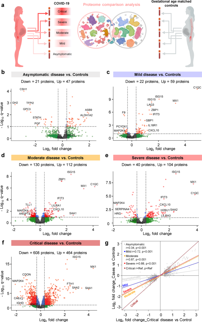 Fig. 2: The plasma proteome shows increasing perturbation with COVID-19 severity in pregnancy.