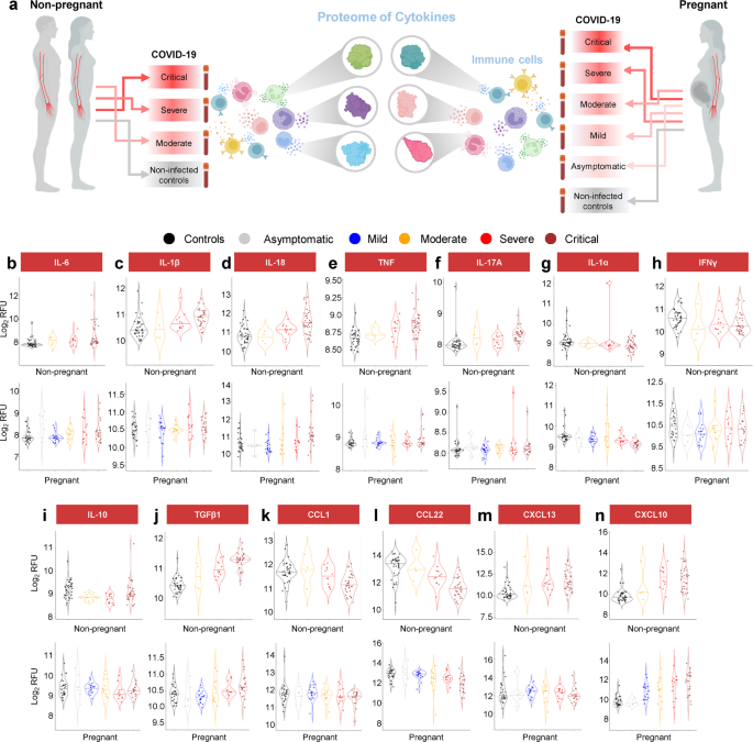 Fig. 7: Pregnant women with COVID-19 display a dampened systemic cytokine response.
