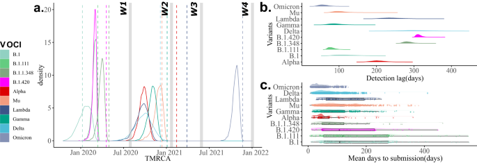 Fig. 3: Temporal dynamics of the most prevalent variants.