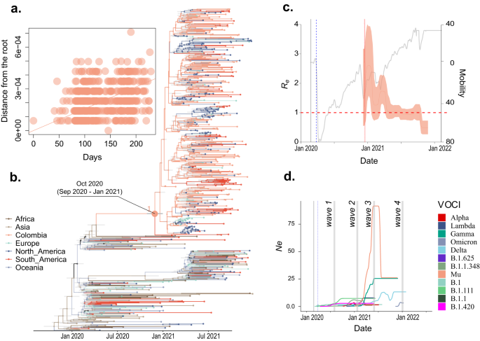 Fig. 4: Phylodynamic of Mu variant population circulated in Colombia.