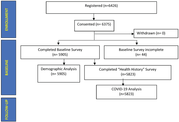 Fig. 1: Participant baseline survey data.