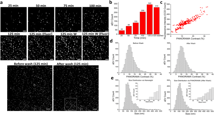 微小な血液循環粒子を数えてがん検出を進める(Advancing Cancer Detection by Counting Tiny Blood-circulating Particles)