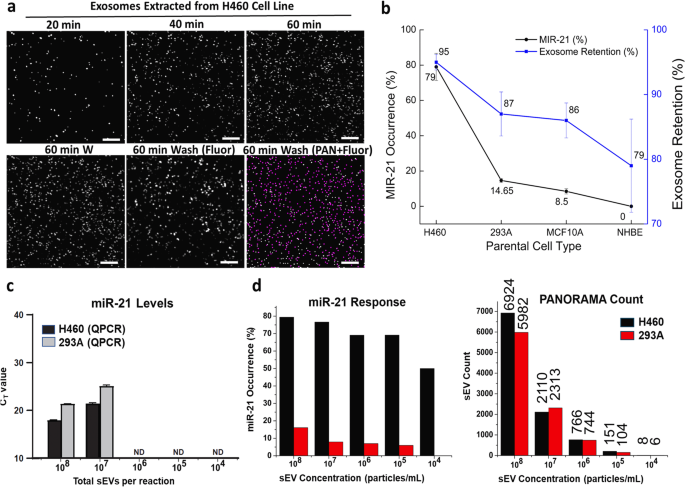 Fig. 2: PANORAMA digital counting and cargo miR-21 profiling.