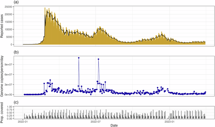 Fig. 1: Reported daily cases and wastewater data between 1 January 2022 and 31 March 2023 in Aotearoa New Zealand.