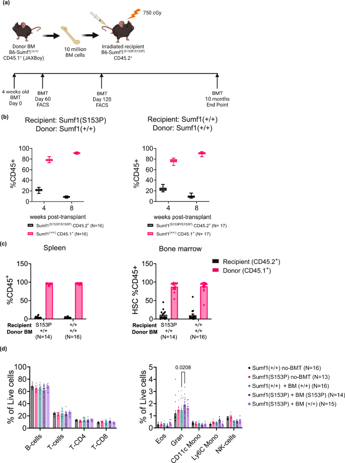 Fig. 1: High engraftment efficiency and stability after HSCT.