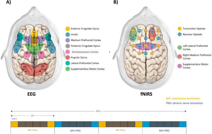 Fig. 5: EEG electrodes and fNIRS placement maps.