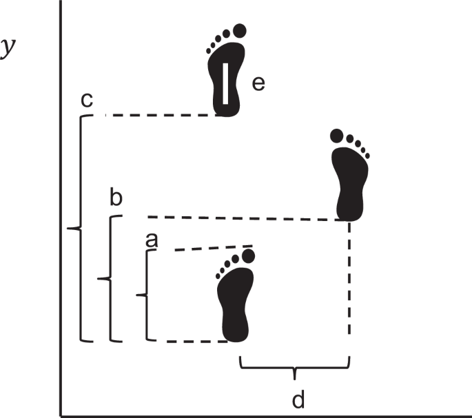Fig. 1: Visual representation of gait features.