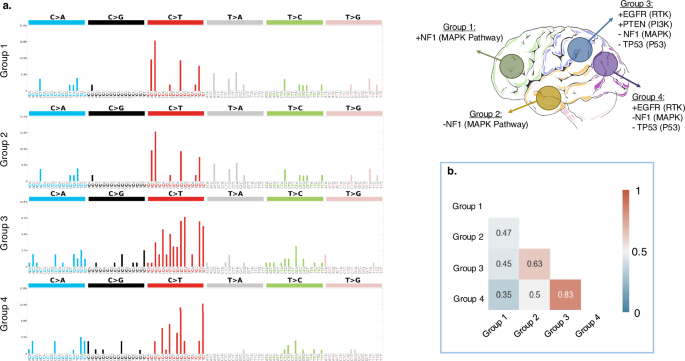 Fig. 3: Mutational signatures for the tumors in the four groups of spatial locations.
