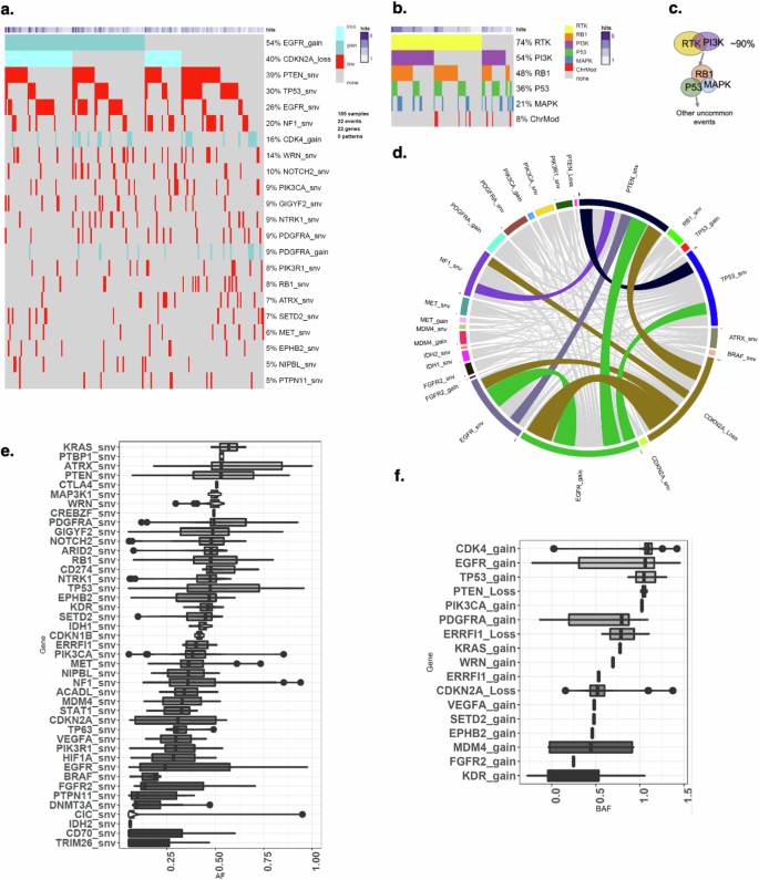 Fig. 4: A summary of common oncogenic mutations, pathway-level alterations, and trajectory evolution model of GBM.