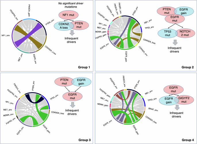 Fig. 5: Trajectory evolution model for the four found brain region.