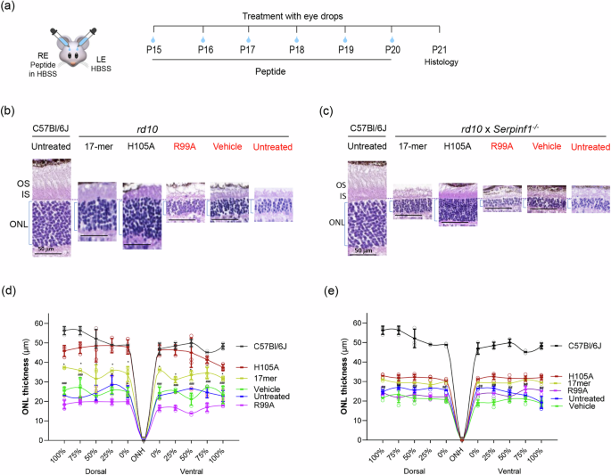 ge glutathione sepharose glutathione sepharose ge healthcare Factor B Is the Second  Lipopolysaccharide-binding Protease Zymogen in the Horseshoe