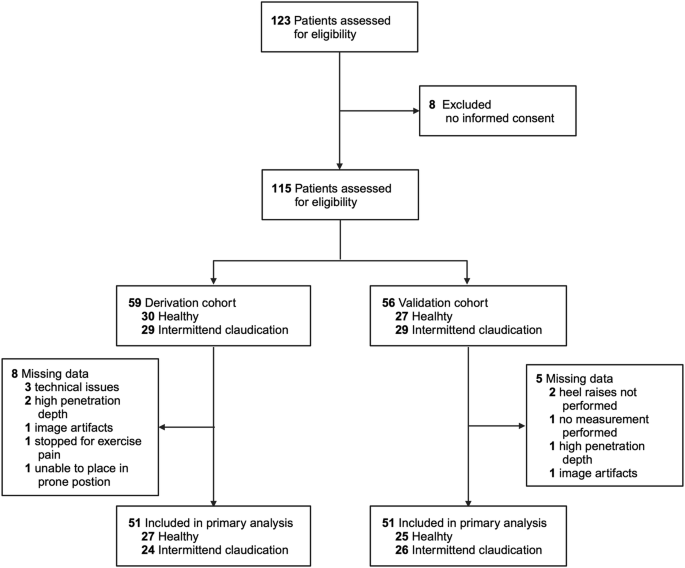 Fig. 1: Flow chart of patient recruitment and data collection process.