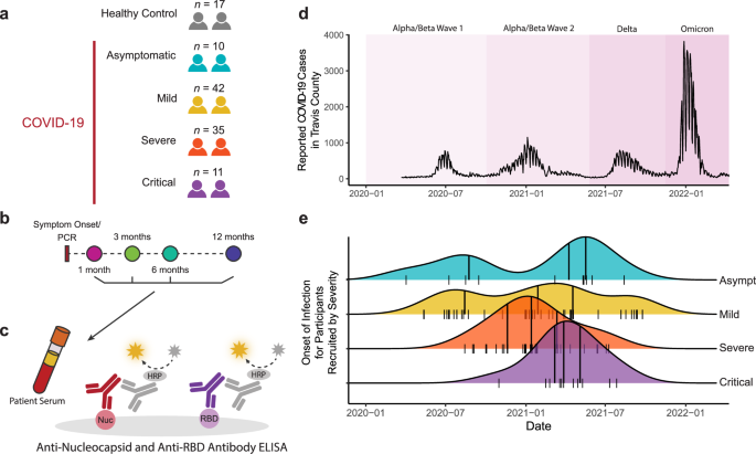 Fig. 1: Participant Recruitment and Experimental Design.