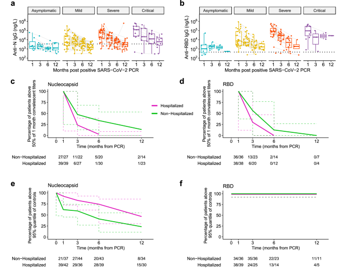 Fig. 4: Anti-N titers decline below, while anti-RBD titers are sustained above control levels over 12 months, and anti-N IgG titers decay faster in hospitalized individuals.