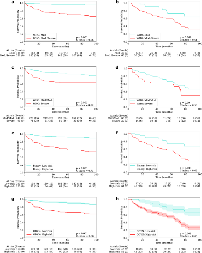 Fig. 4: Kaplan-Meier transformation-free survival curves.