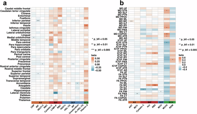 Fig. 8: Differential Associations of Identified Blood Biomarkers with Brain Structures in a Case-Control Study.