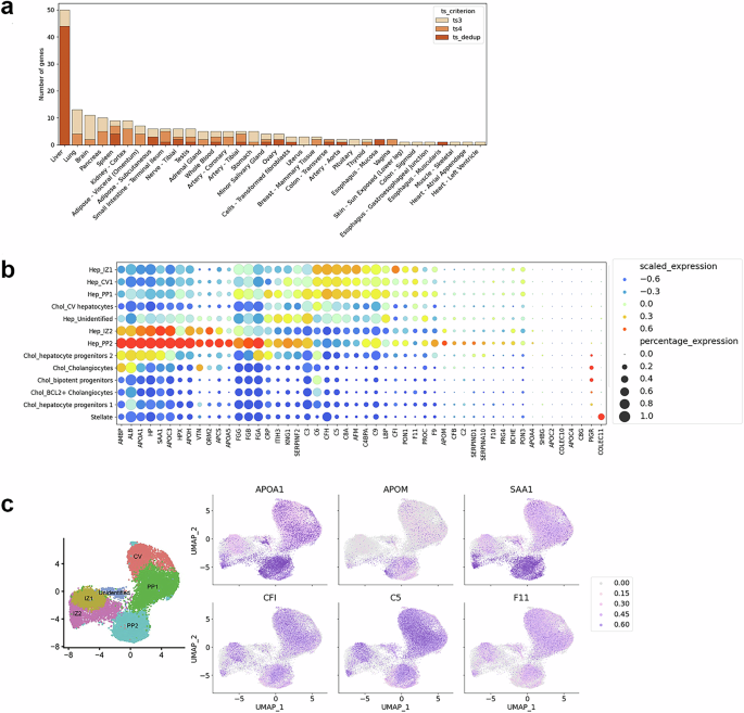 Fig. 2: Transcriptomics analysis of DE proteins in the liver.