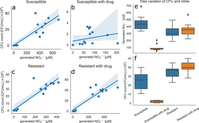 Fig. 2: Correlation of bacterial growth and generated nitrite in in-vitro model and comparison between susceptible and resistant E. coli strain.