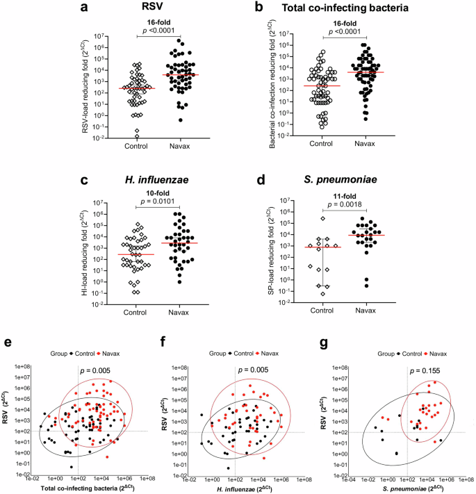 Fig. 3: Impact of Bacillus spore nasal spray on viral-bacterial loads and their correlation in pediatric RSV pneumonia.