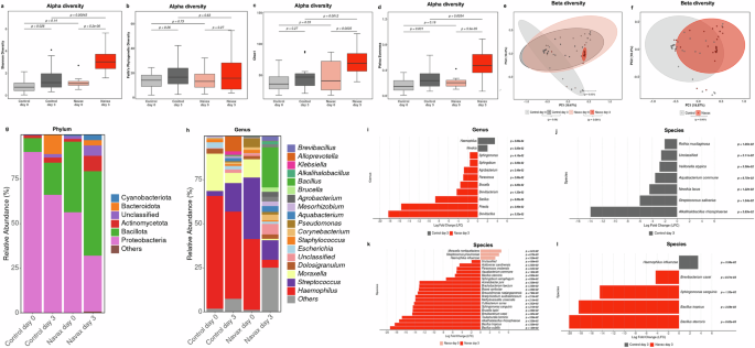 Fig. 5: Impact of Bacillus spore nasal spray on the nasal microbiome in pediatric RSV pneumonia.