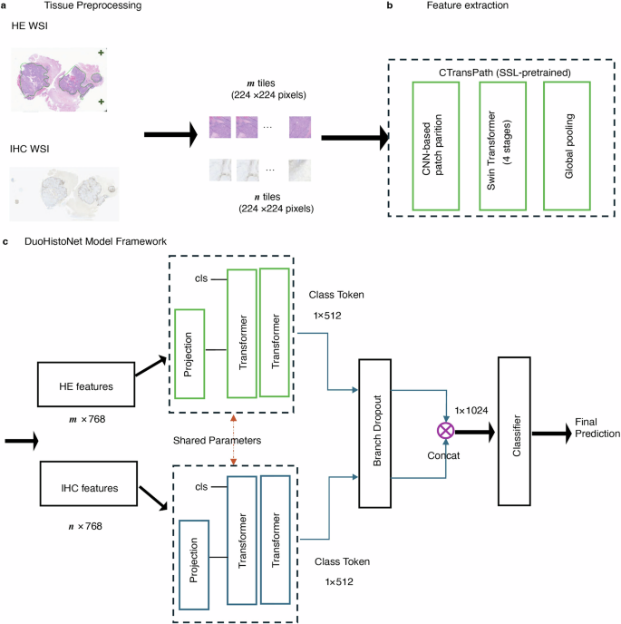 Overview of the data pre-processing and model architecture.