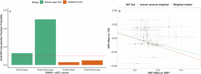 Fig. 1: Colocalisation and Mendelian Randomisation methods for XBP1 expression and type 2 diabetes risk.