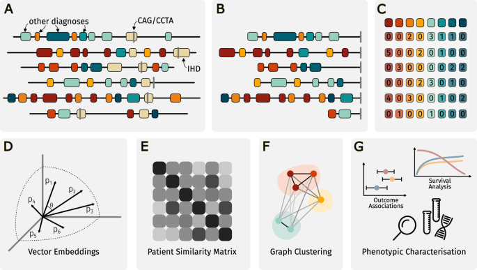 Fig. 1: Graphical overview of the study.