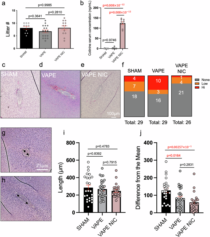 Fig. 1: E-cigarette exposure causes accumulation of erythrocytes and similar embryo elongation at post-implantation.