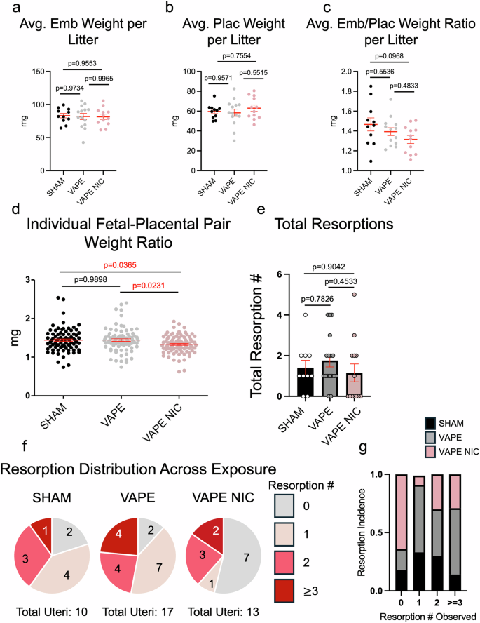 Fig. 2: Exposure to e-cigarette vapors decreases embryo-to-placental weight ratios across the fetal-placental unit and may promote resorptions in the absence of nicotine.