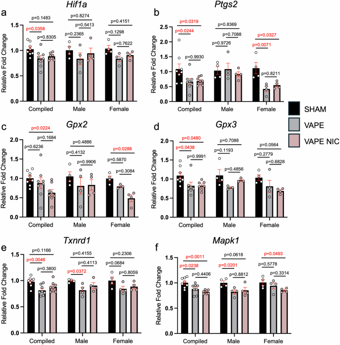 Fig. 3: E-cigarettes elicit differential gene expression dependent on fetal sex.