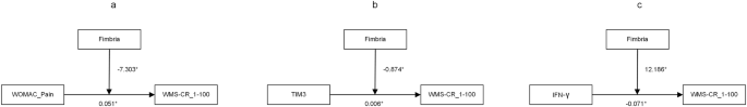 Fig. 2: Moderating effects of baseline hippocampal fimbria volume on pain-inflammation-cognition relationships in knee osteoarthritis patients (n = 21 dementia-non-converters; n = 15 dementia-converters biologically independent human participants).