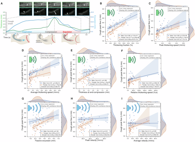 Fig. 4: Sonomyographic pattern of cough.