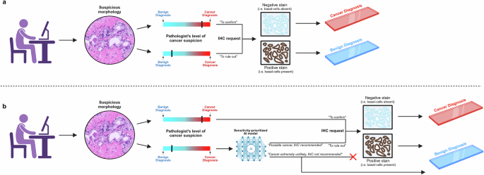 Fig. 1: Integration of the AI model into the diagnostic workflow.