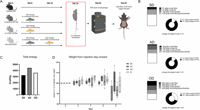 Fig. 2: Experimental set up and composition overview of diets used in the in vivo experiments.