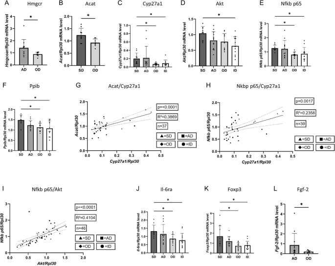 Fig. 5: Murine lung tissue gene expression level analysis of metabolic pathway enzymes connected to cholesterol via quantitative real-time PCR.