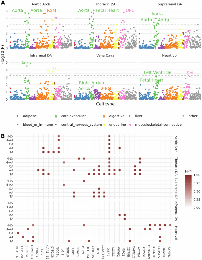 Fig. 5: Heritability enrichment and colocalization with gene expression.