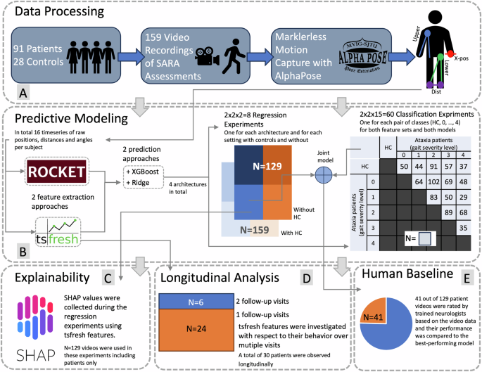 Fig. 1: Summary Figure outlining the working steps performed in this study, while indicating the number of samples used in each step.