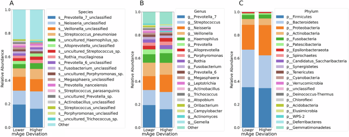 Fig. 3: Microbiome composition for mAge deviation groups on species, genus, and phylum level.