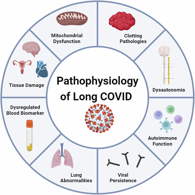 Fig. 1: Summary of the pathophysiology of Long COVID.