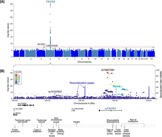 Fig. 2: SNP level results for trans-ancestry meta-analysis.
