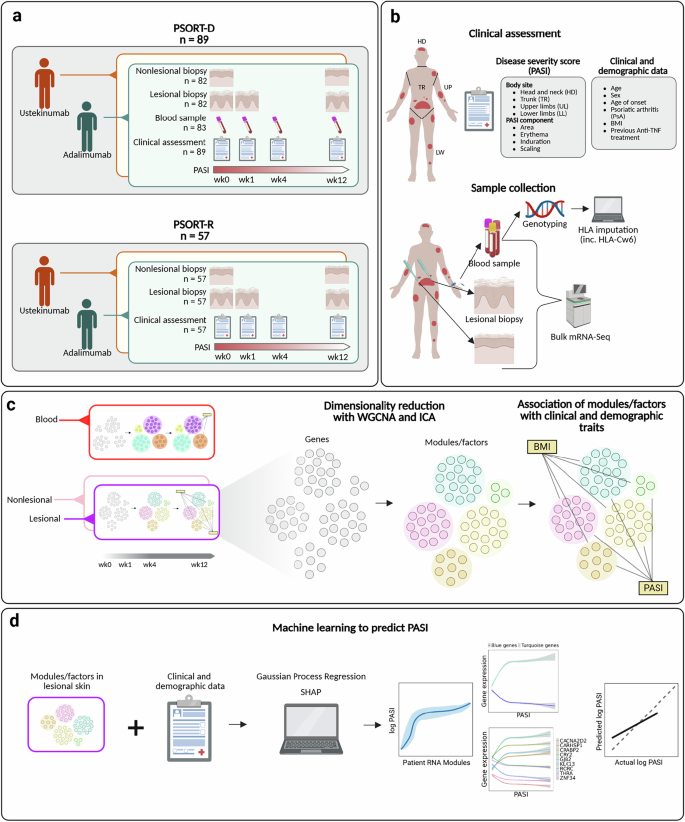 Fig. 1: Summary of study design, including patient recruitment, sample collection and analysis methodology.