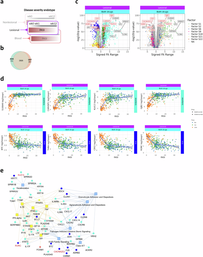 Fig. 6: Disease severity endotypes in lesional skin are largely independent of biologic drug.