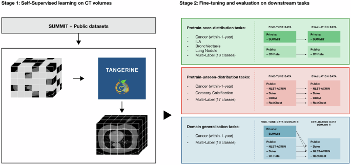 Fig. 1: Development and evaluation of TANGERINE.